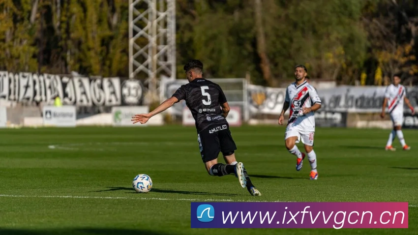 星空官方登录入口平台生态图